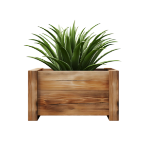 wooden greenery