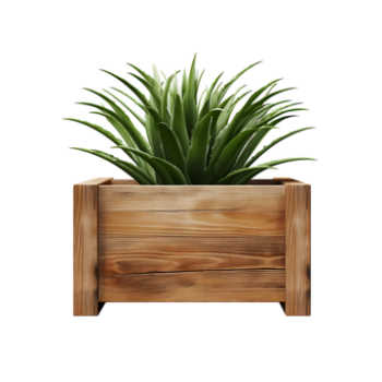 wooden greenery
